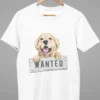 WHITE DOG WANTED